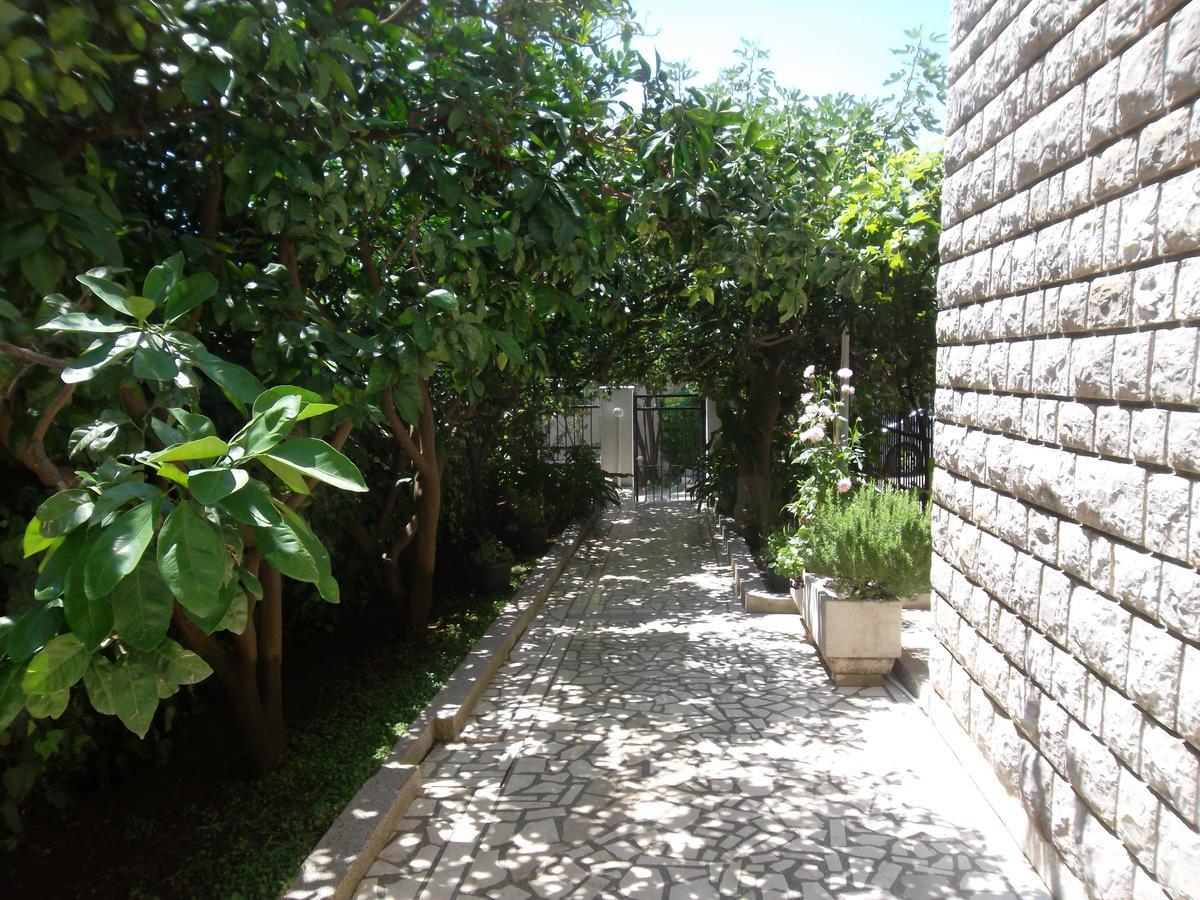 Guest House 4M Petrovac Εξωτερικό φωτογραφία