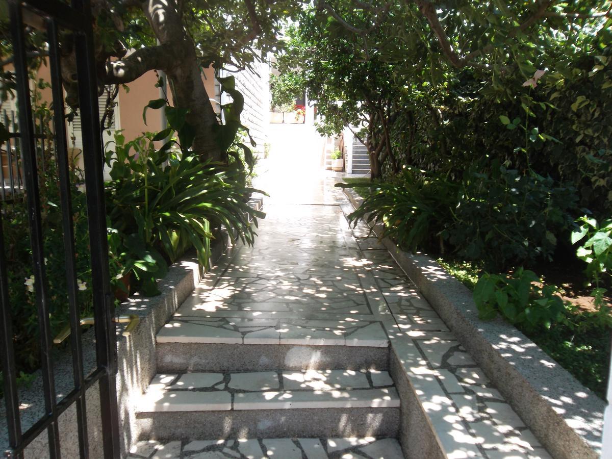 Guest House 4M Petrovac Εξωτερικό φωτογραφία