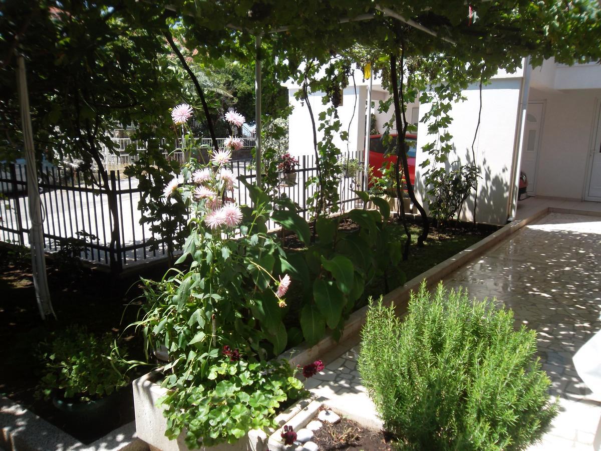 Guest House 4M Petrovac Εξωτερικό φωτογραφία