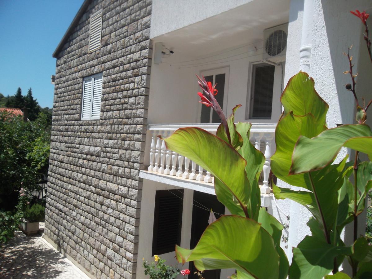 Guest House 4M Petrovac Εξωτερικό φωτογραφία